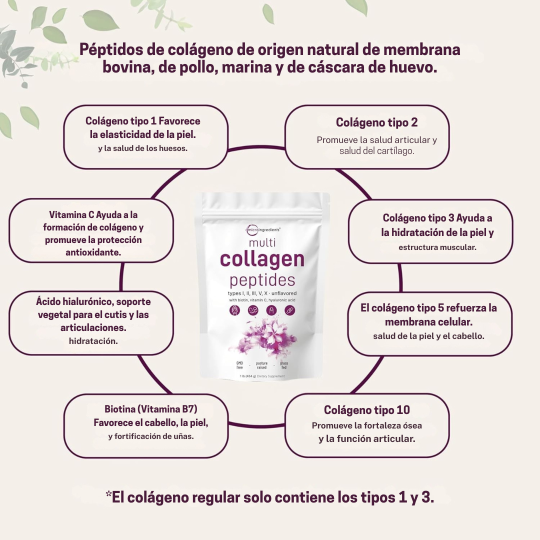 💖 Colágeno Esencial MultiActivo ✅